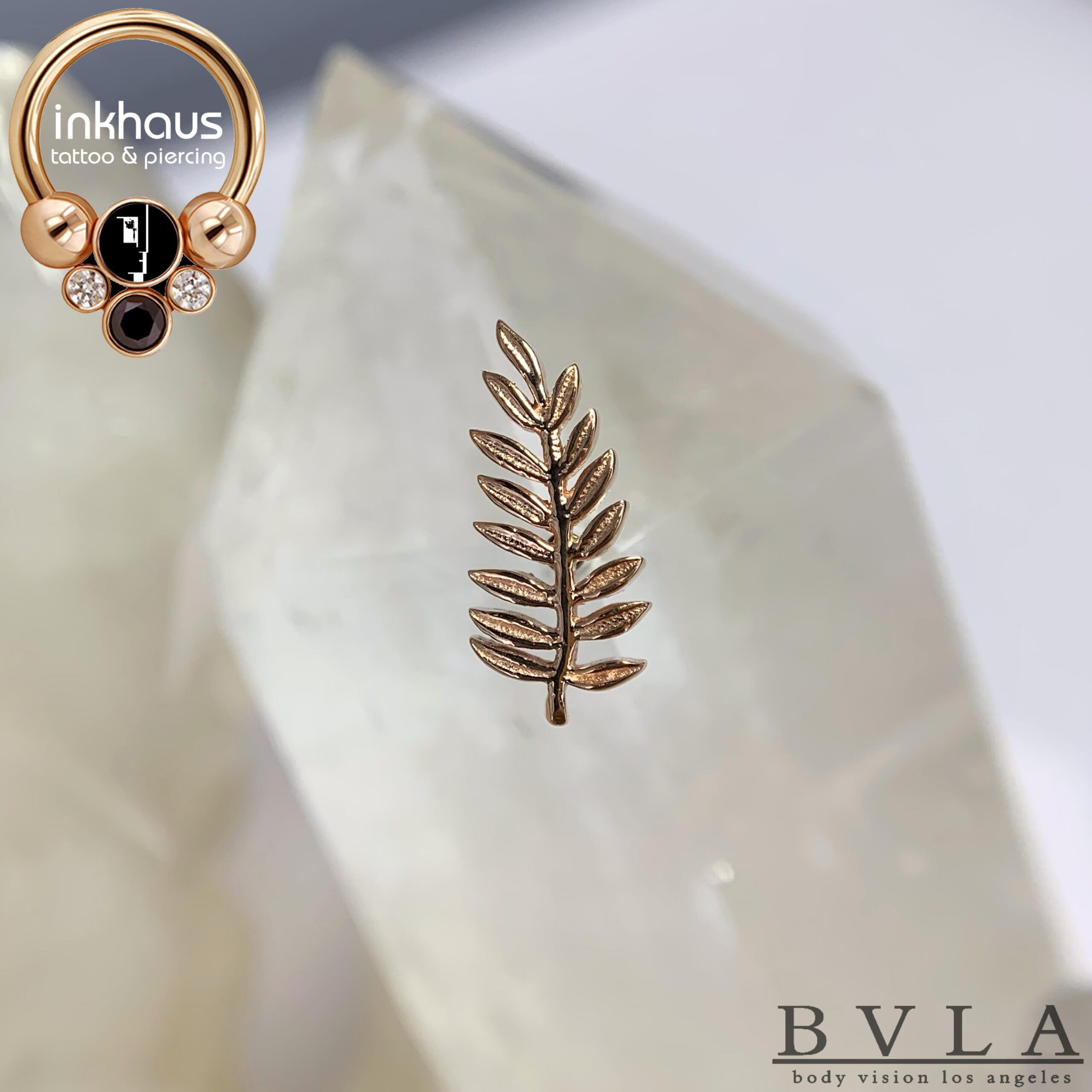 BVLA (Body Vision Los Angeles) - Fern