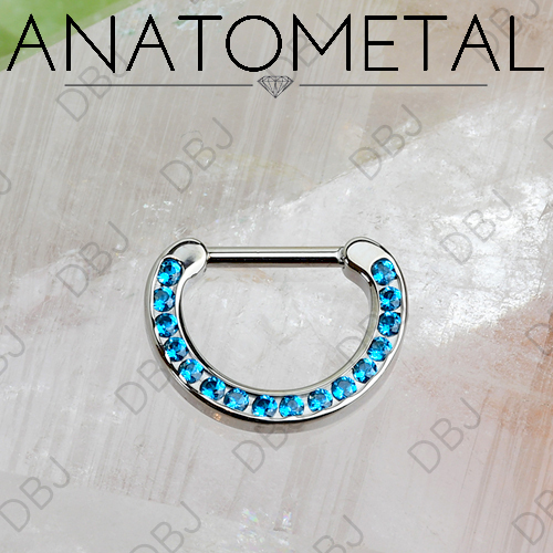 Anatometal - Titanium Channel Set Gemstone Hinge Ring