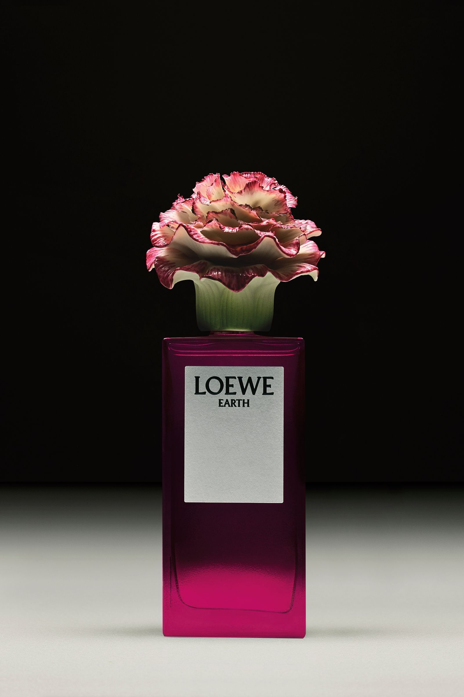 Loewe - Earth