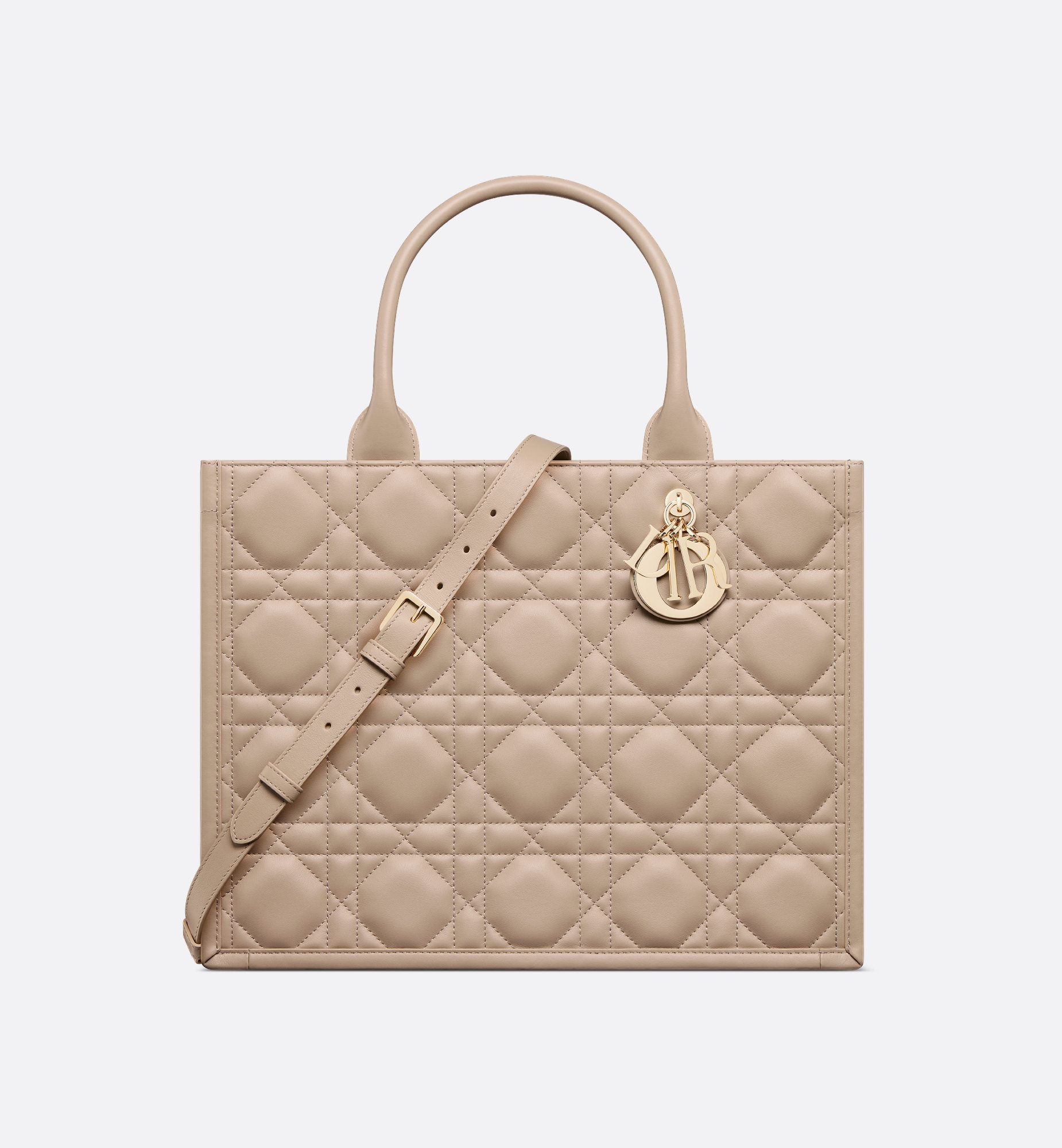 Dior - Medium Dior Book Tote