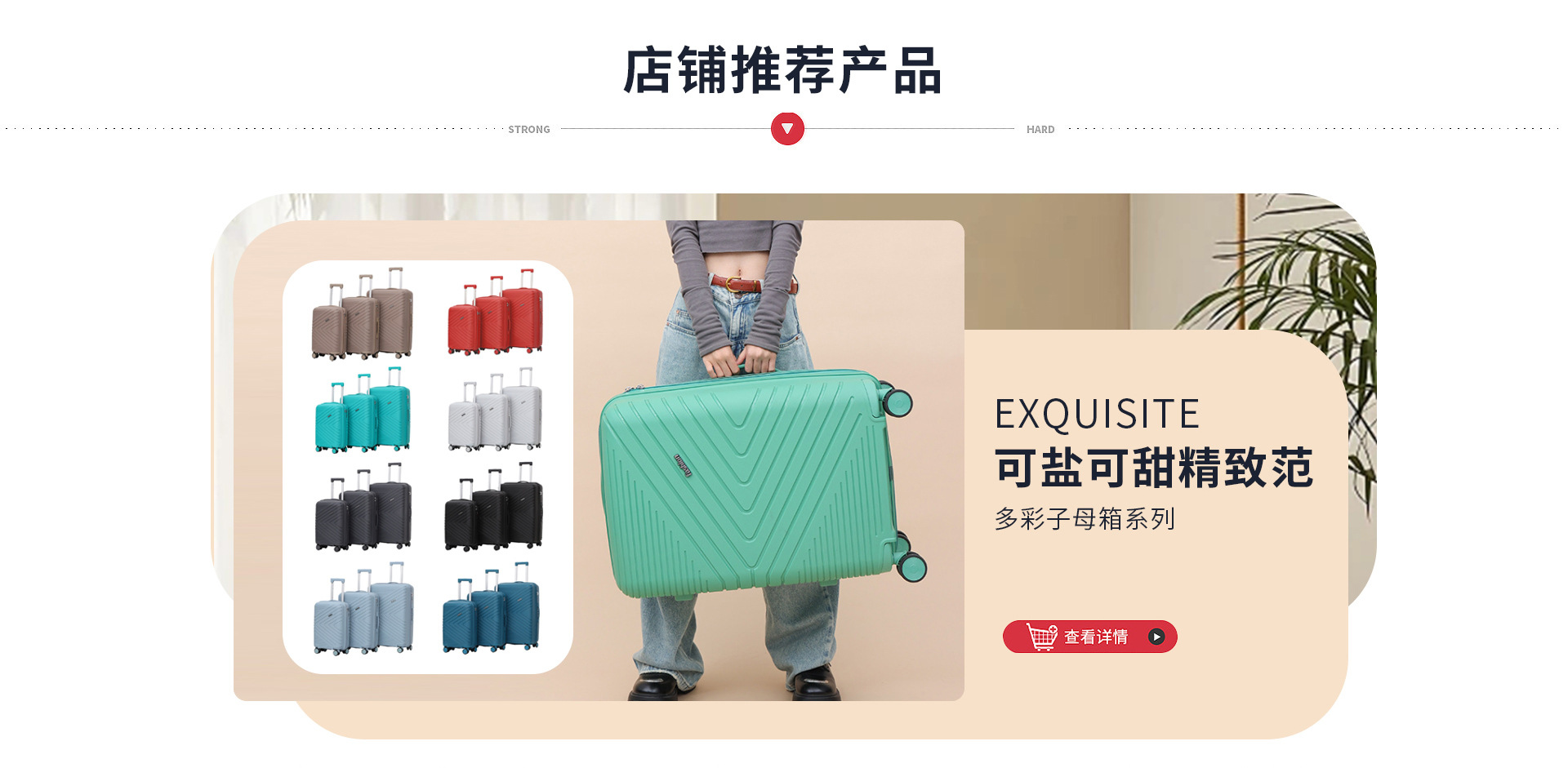 Baigou New City Dayu Luggage Factory product 3