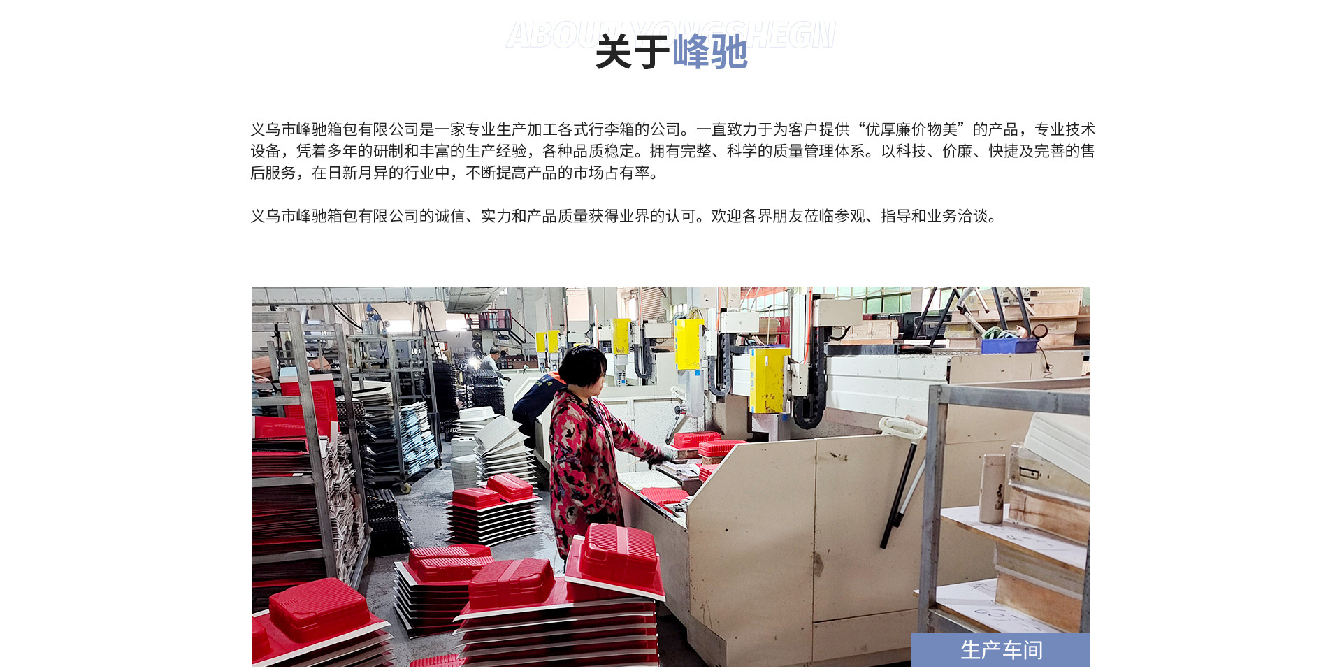 Yiwu Fengchi Luggage Co., Ltd. product 2