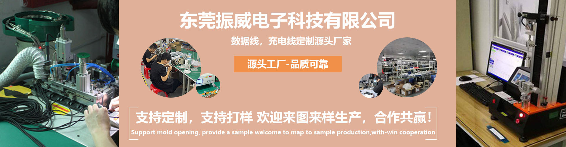 Dongguan Zhenwei Electronic Technology Co., Ltd. product 4