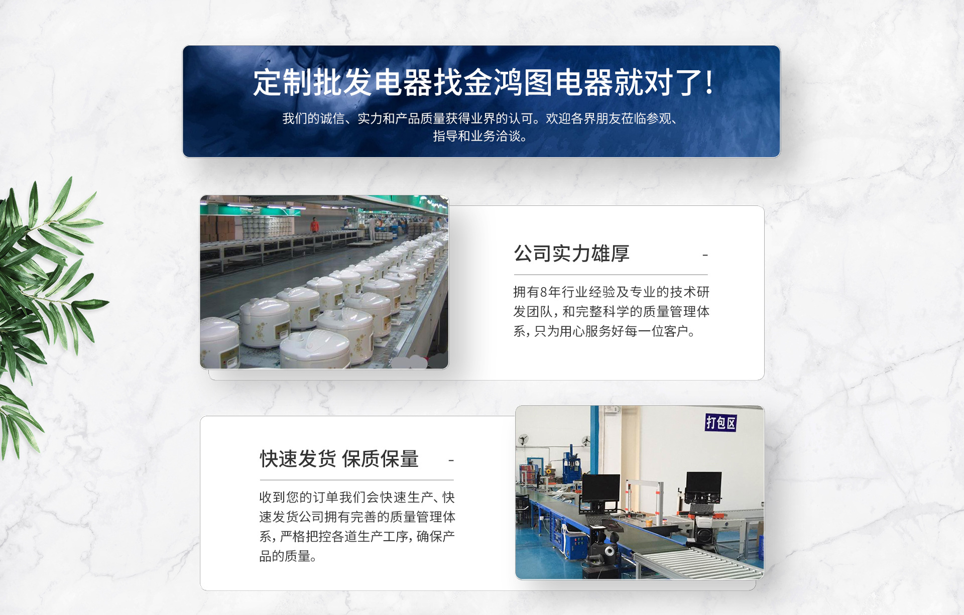 Lianjiang City Jishui Jinhongtu Electrical Appliance Factory product 2