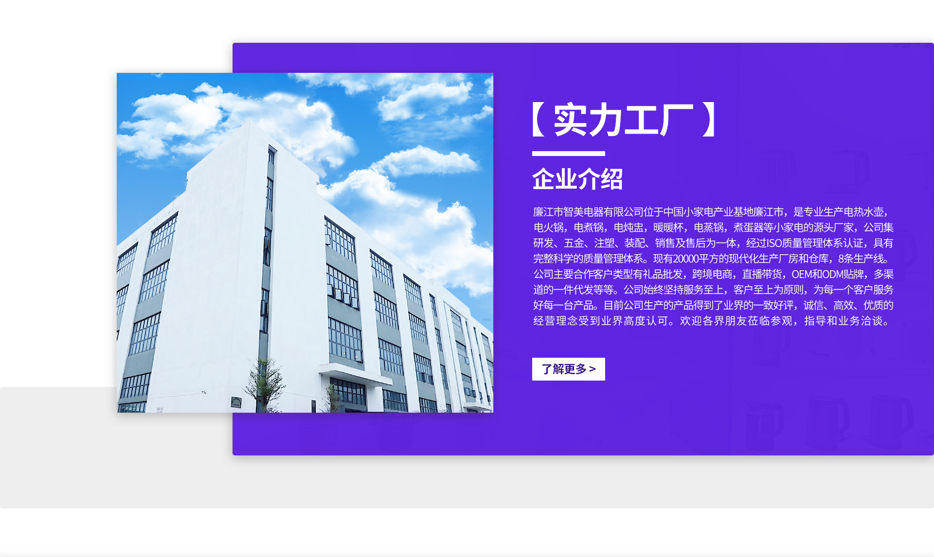 Lianjiang City Zhimei Electrical Appliances Co., Ltd. product 1