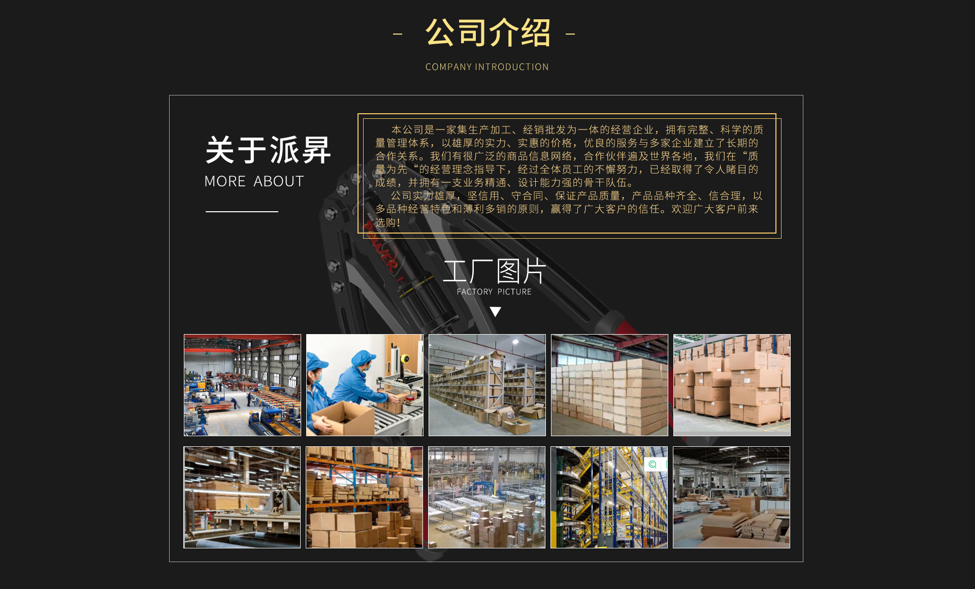 Dongyang Pai Sheng Sporting Goods Co., Ltd. product 4