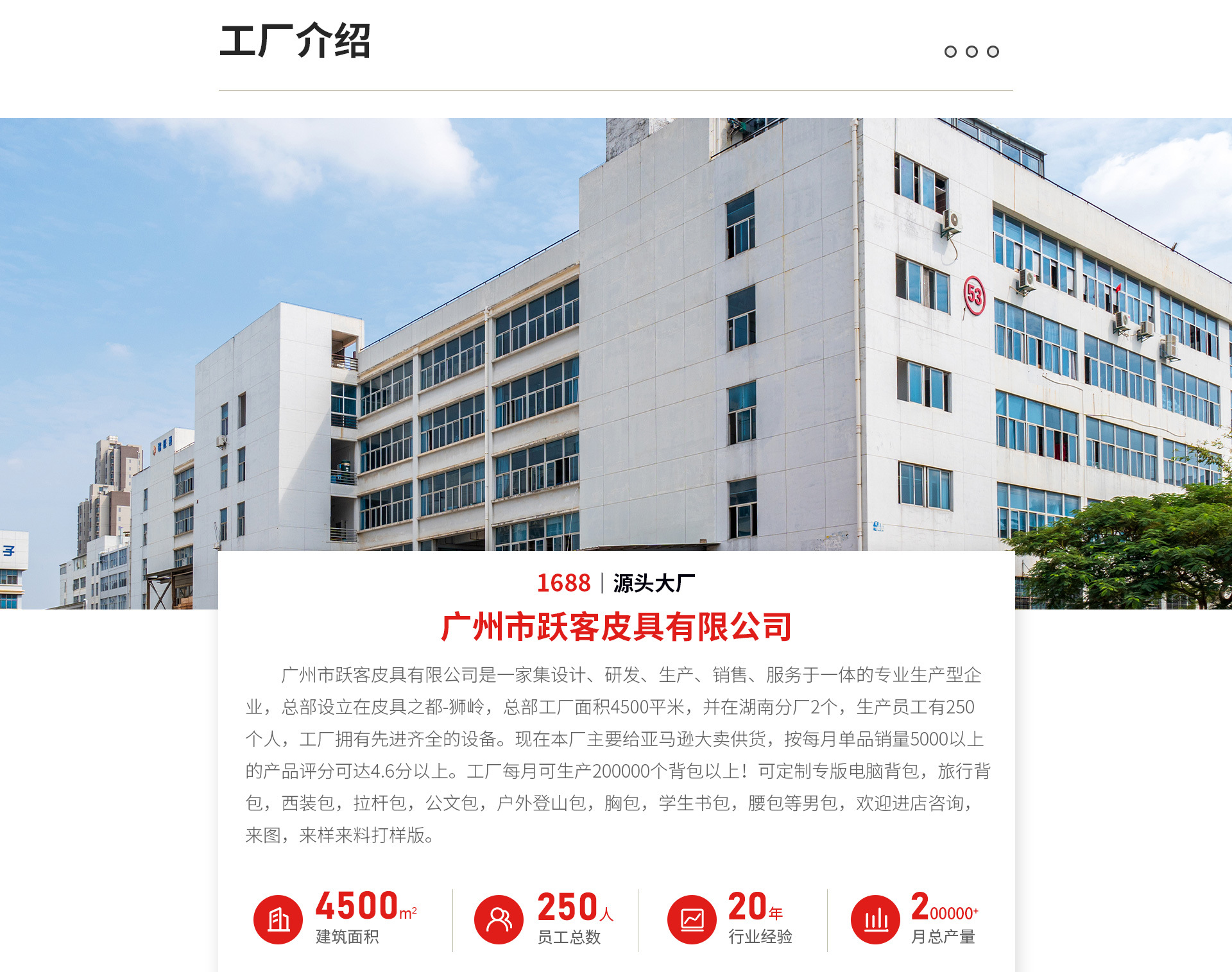 Guangzhou Yueke Leather Co., Ltd. product 2