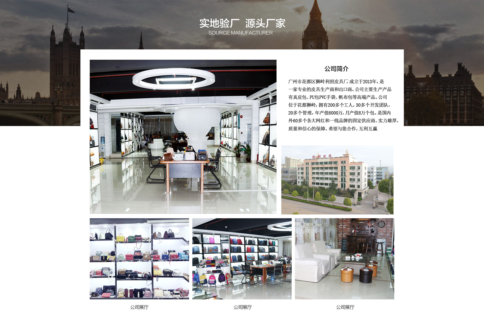 Guangzhou Huadu District Shiling Lizhao Leather Goods Factory product