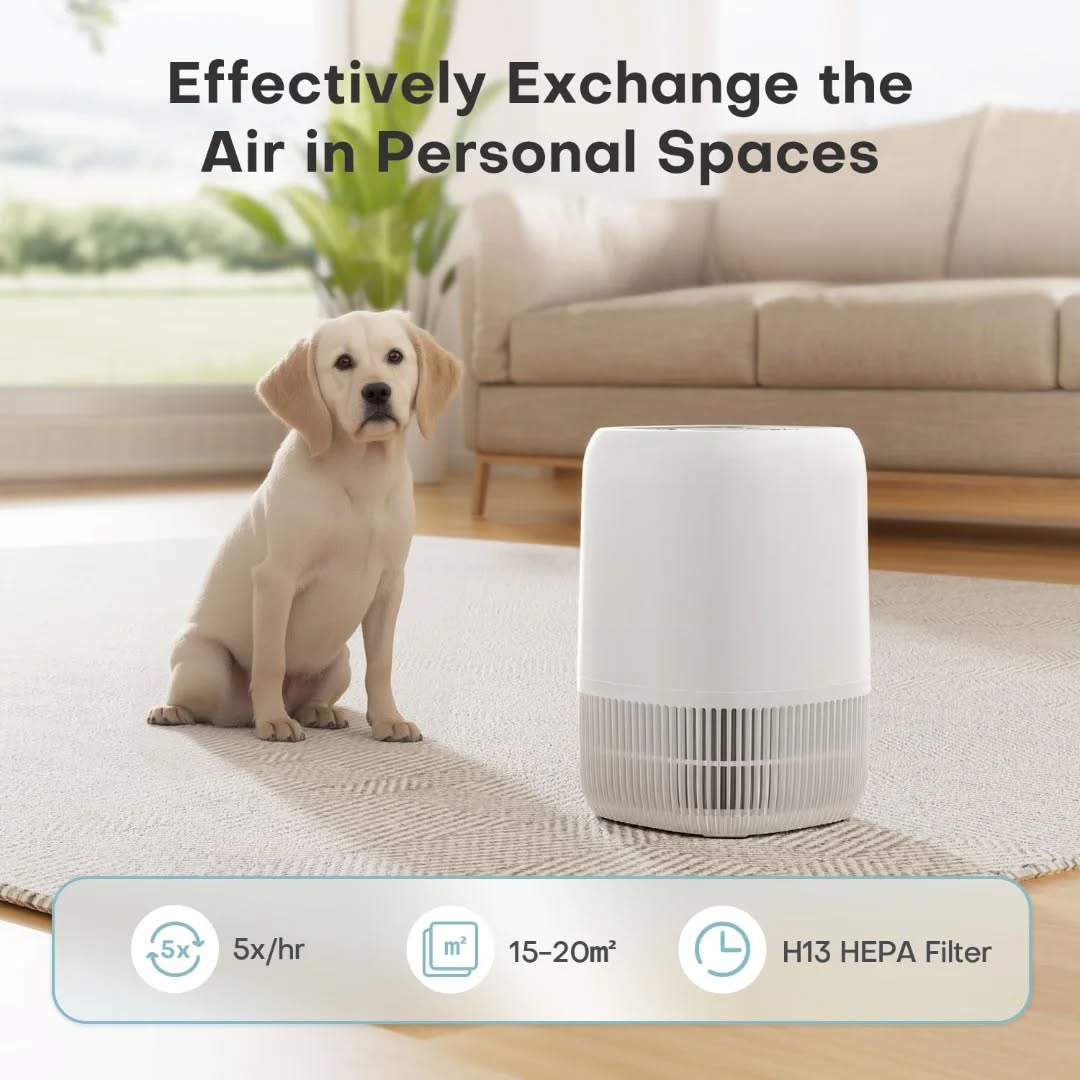 Compact & Portable Air Purifier 5