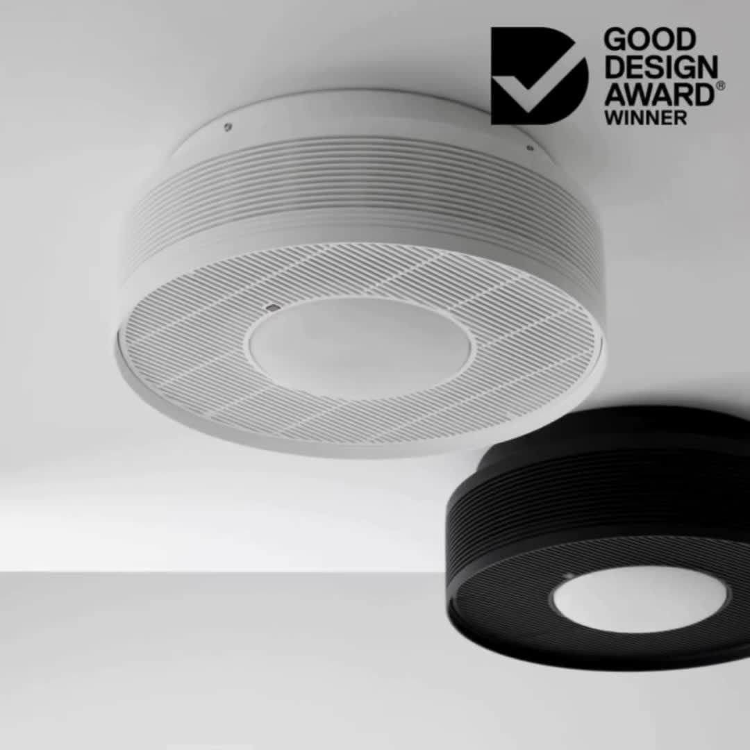 Multi-Functional Air Purifier