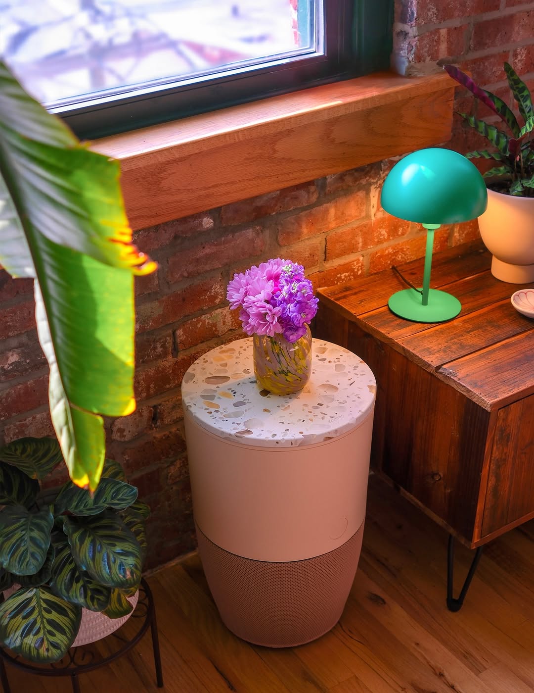 Multi-Functional Air Purifier 6