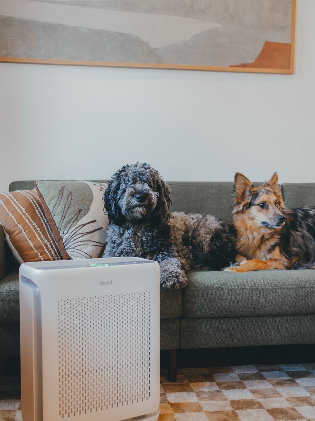 Pet-Focused Air Purifier