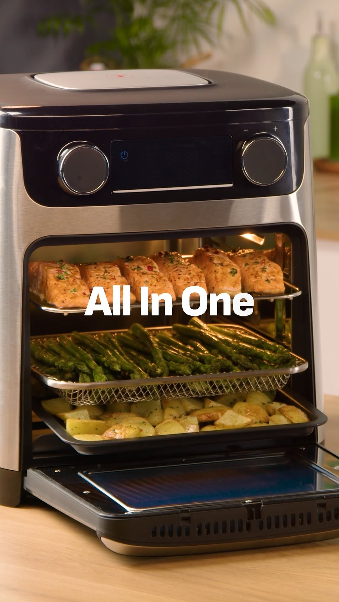 Multi-Functional Air Fryer 3