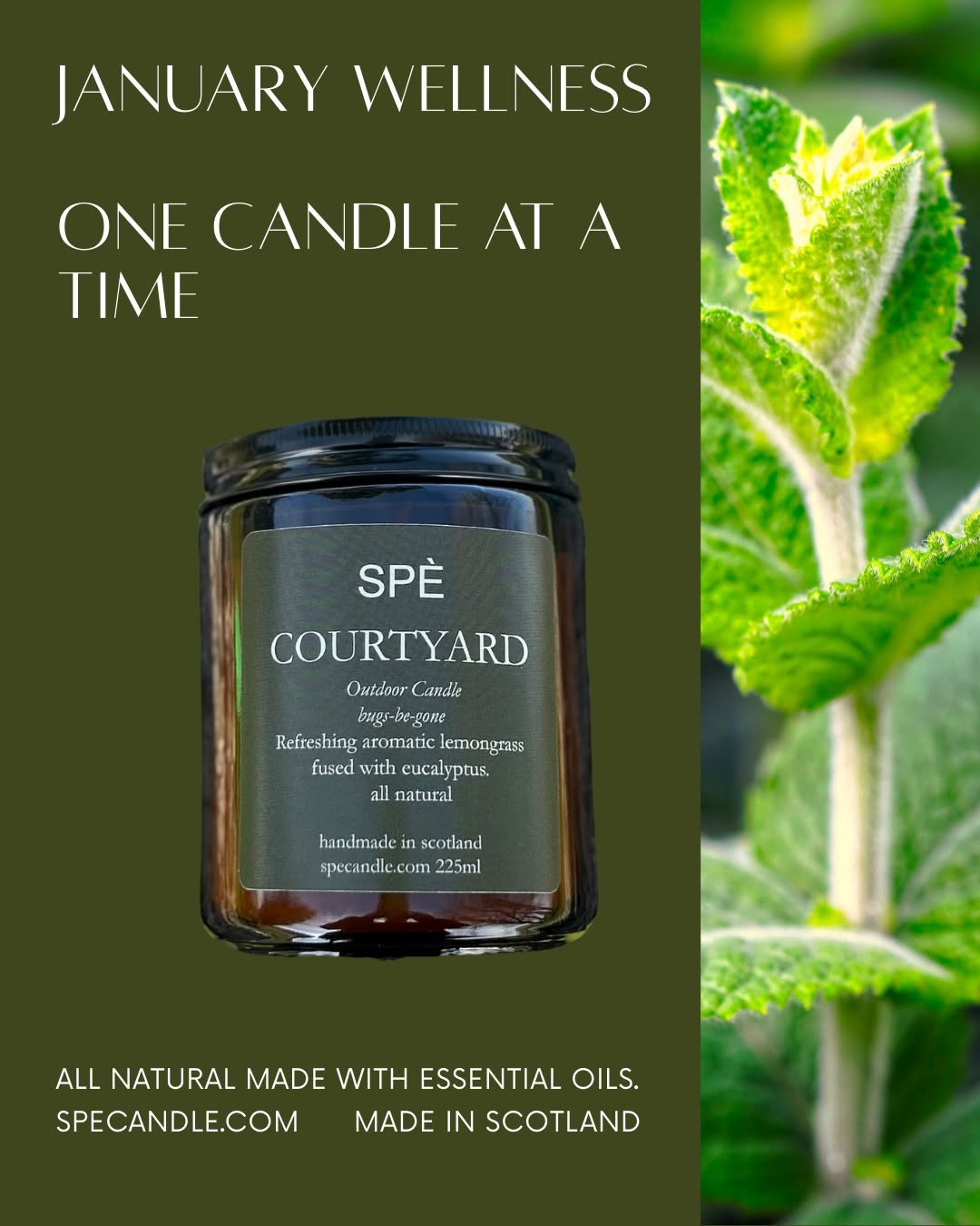 Aromatherapy & Wellness Candles 2