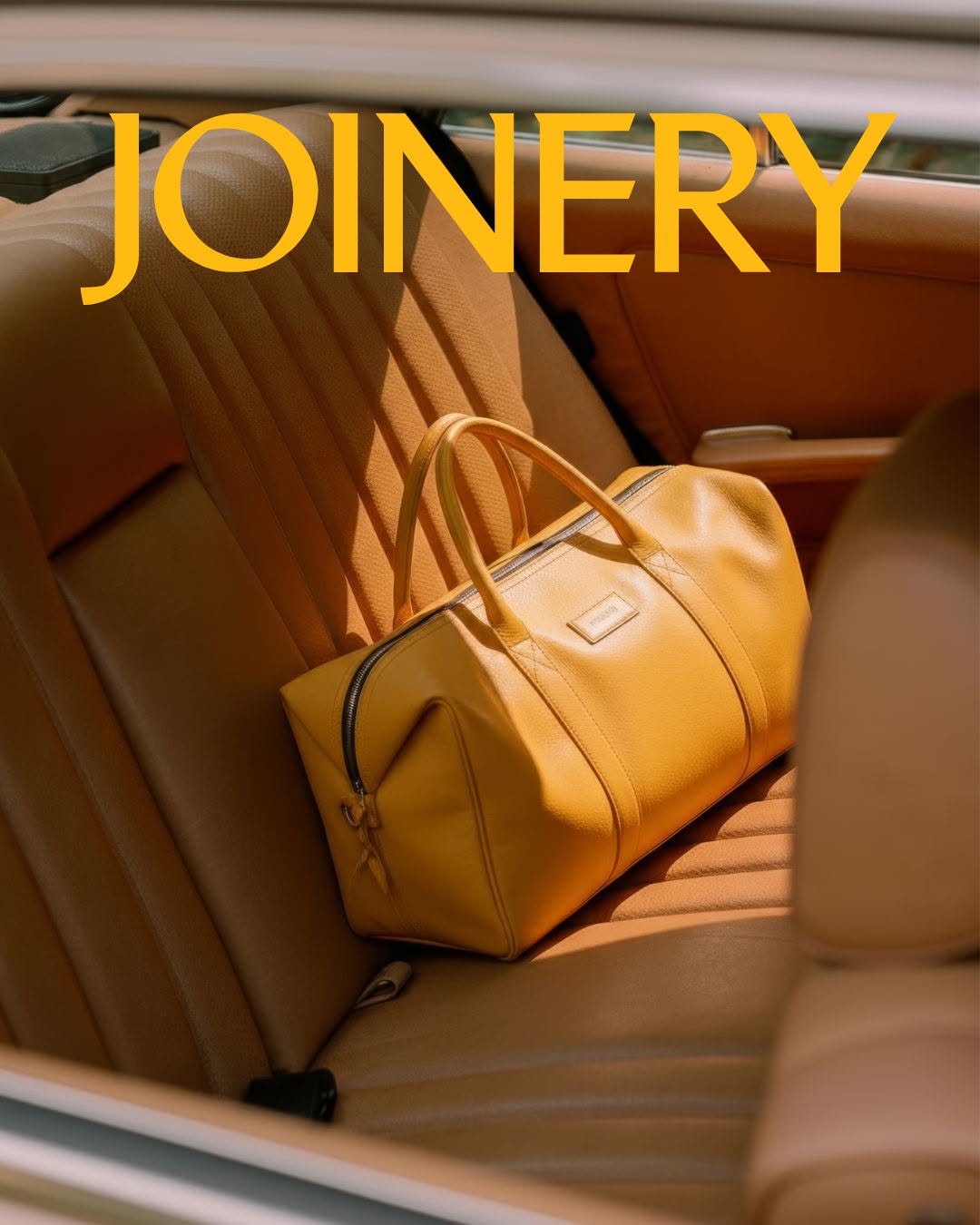 Eco-Conscious Luggage 2