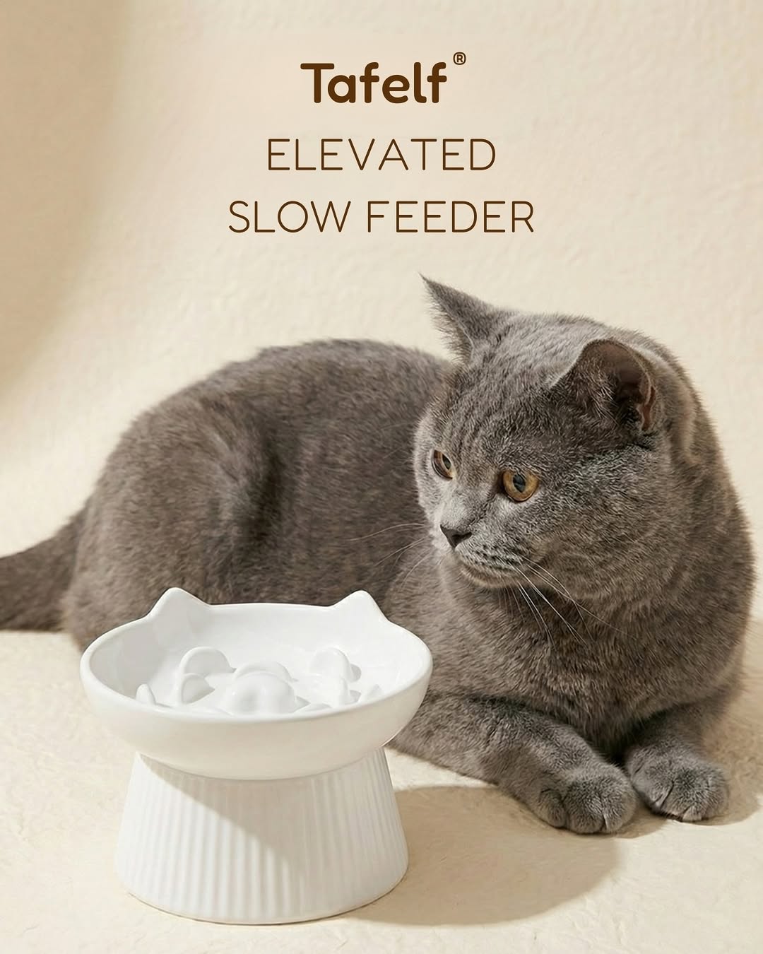 Ergonomic Elevated Pet Feeder