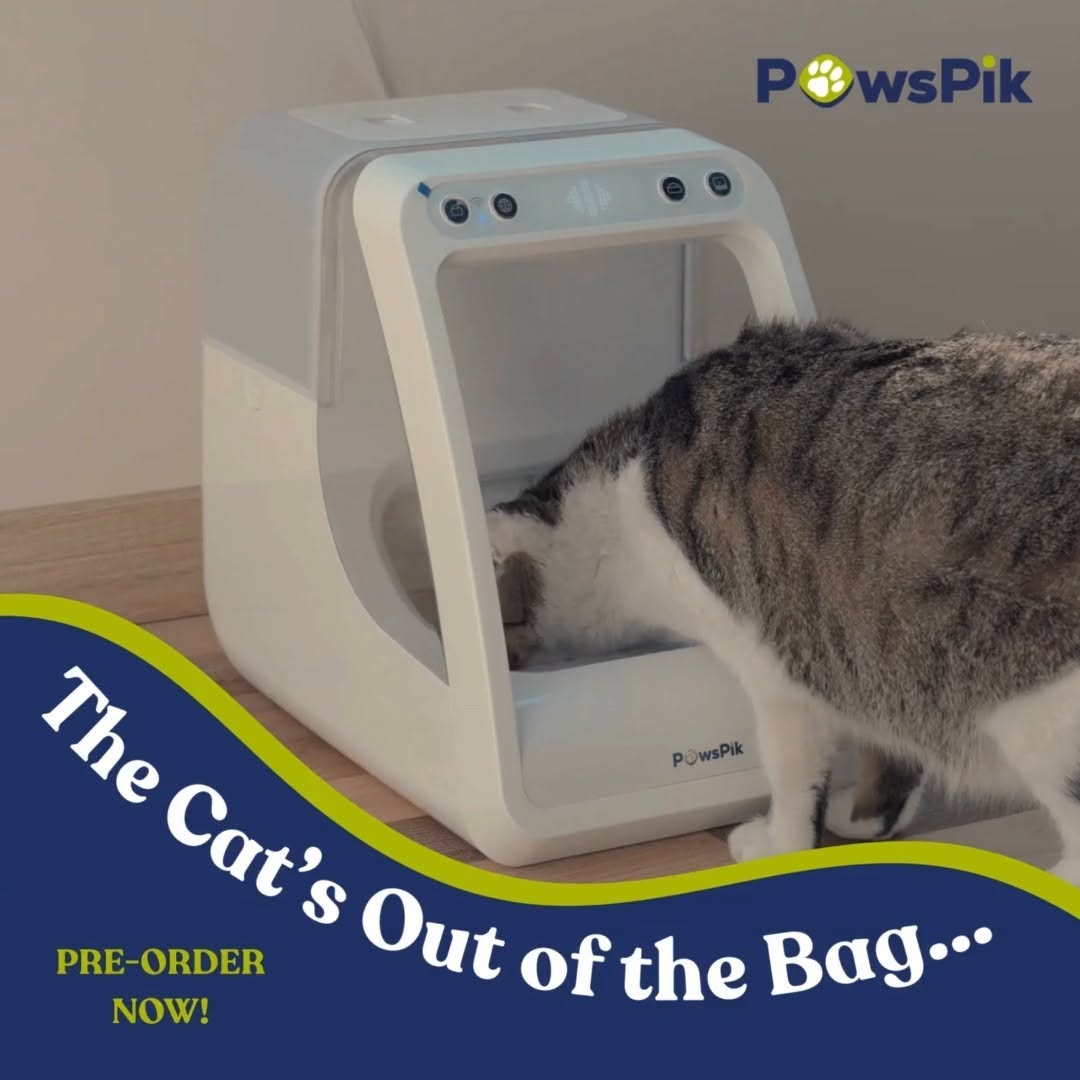 Multi-Pet Feeding Pet Feeder 2