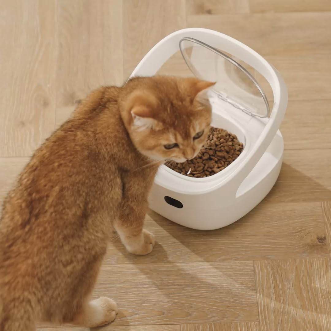 Multi-Pet Feeding Pet Feeder 4
