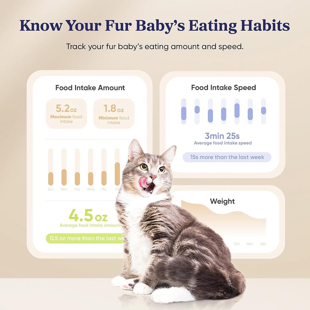 Smart Technology Pet Feeder 2