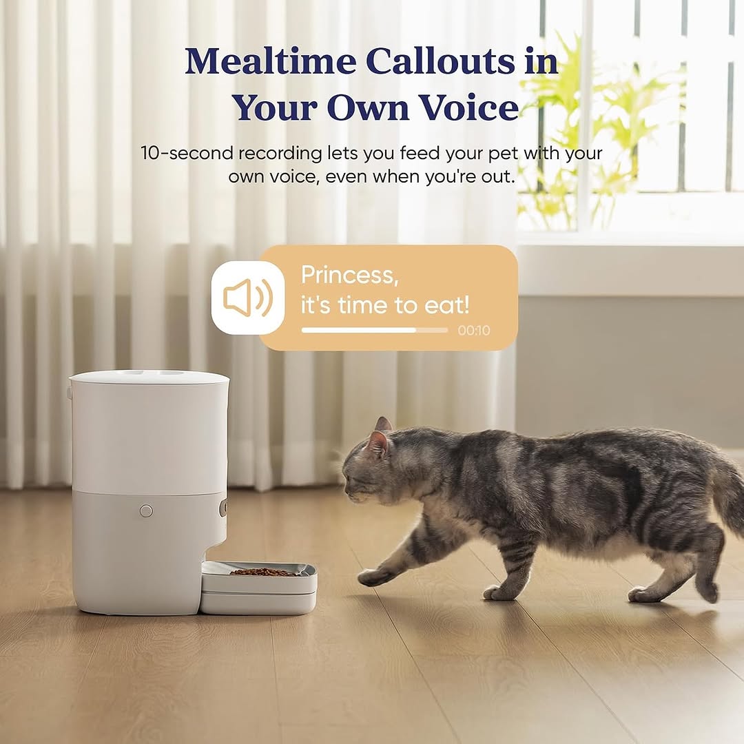Smart Technology Pet Feeder 4