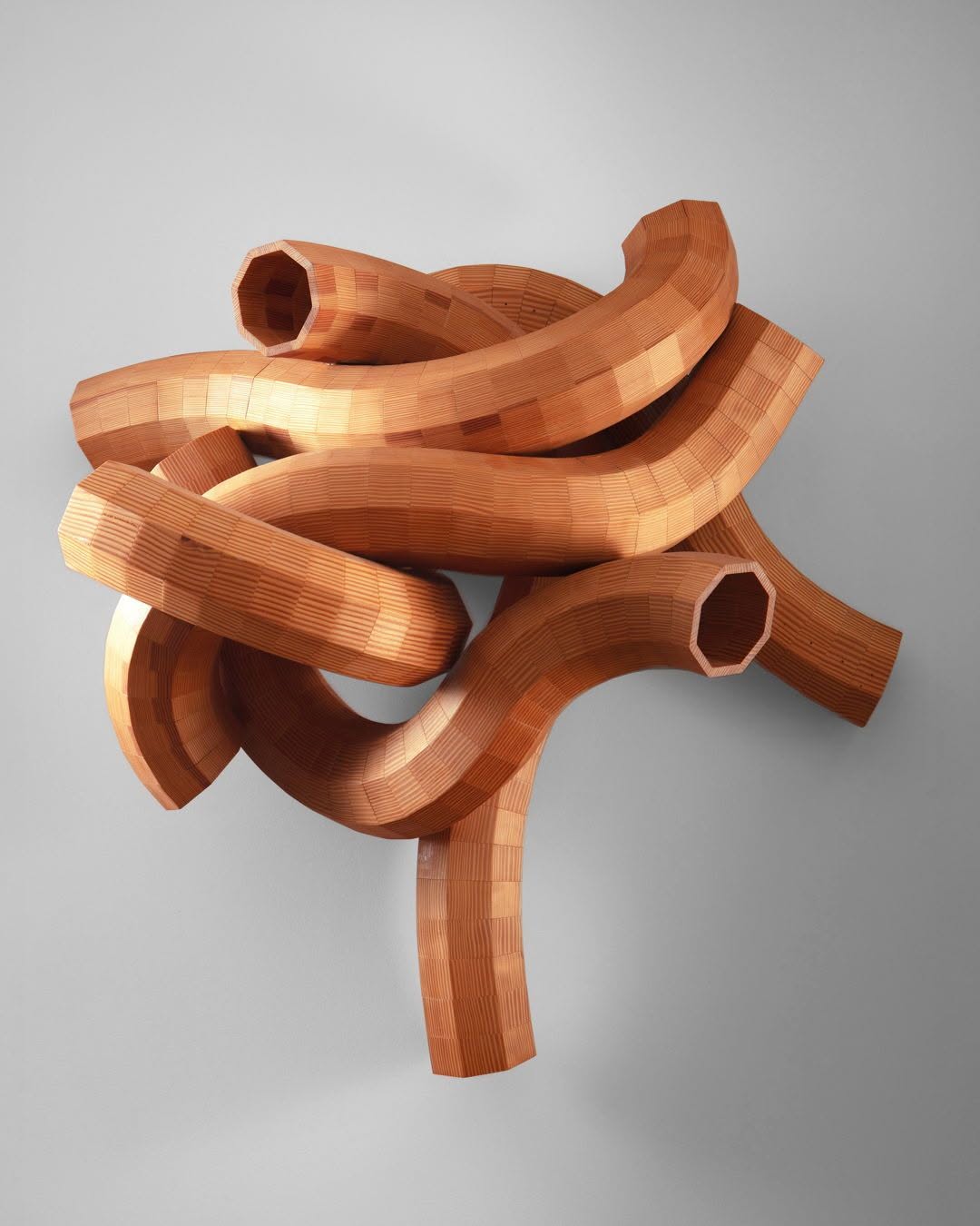 Organic Abstraction Sculptures image 4