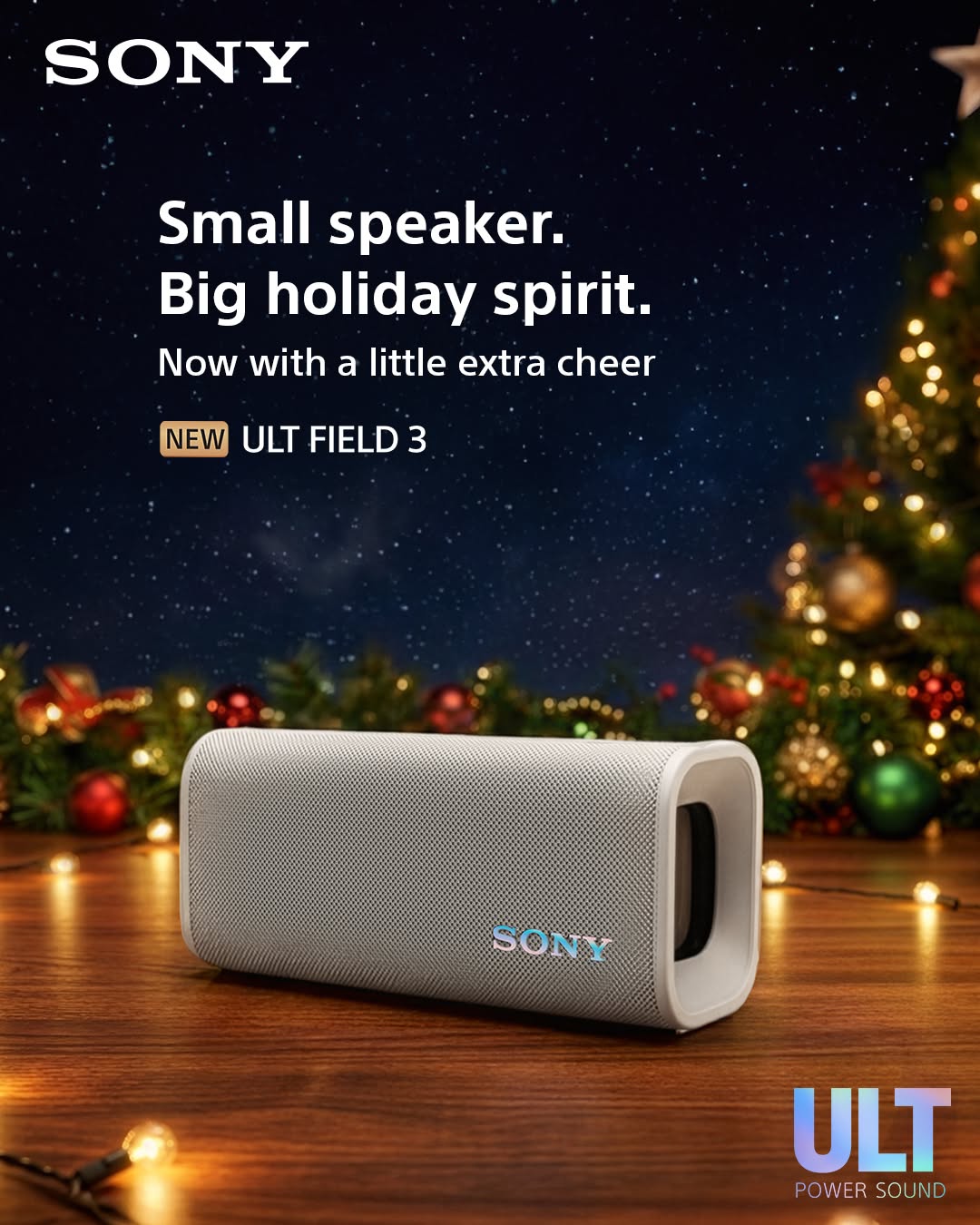 All-Weather Portable Speakers 6