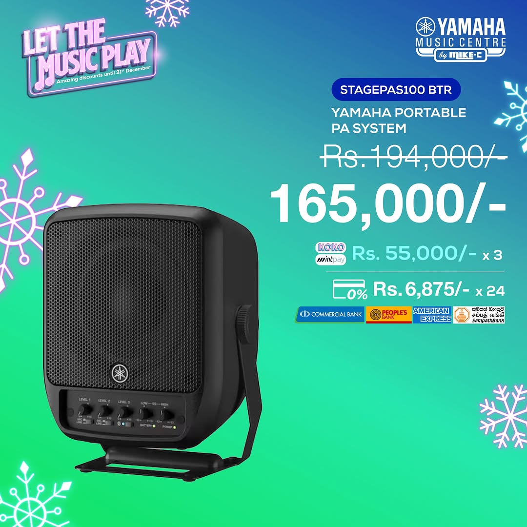 Portable Pa System Speakers 2