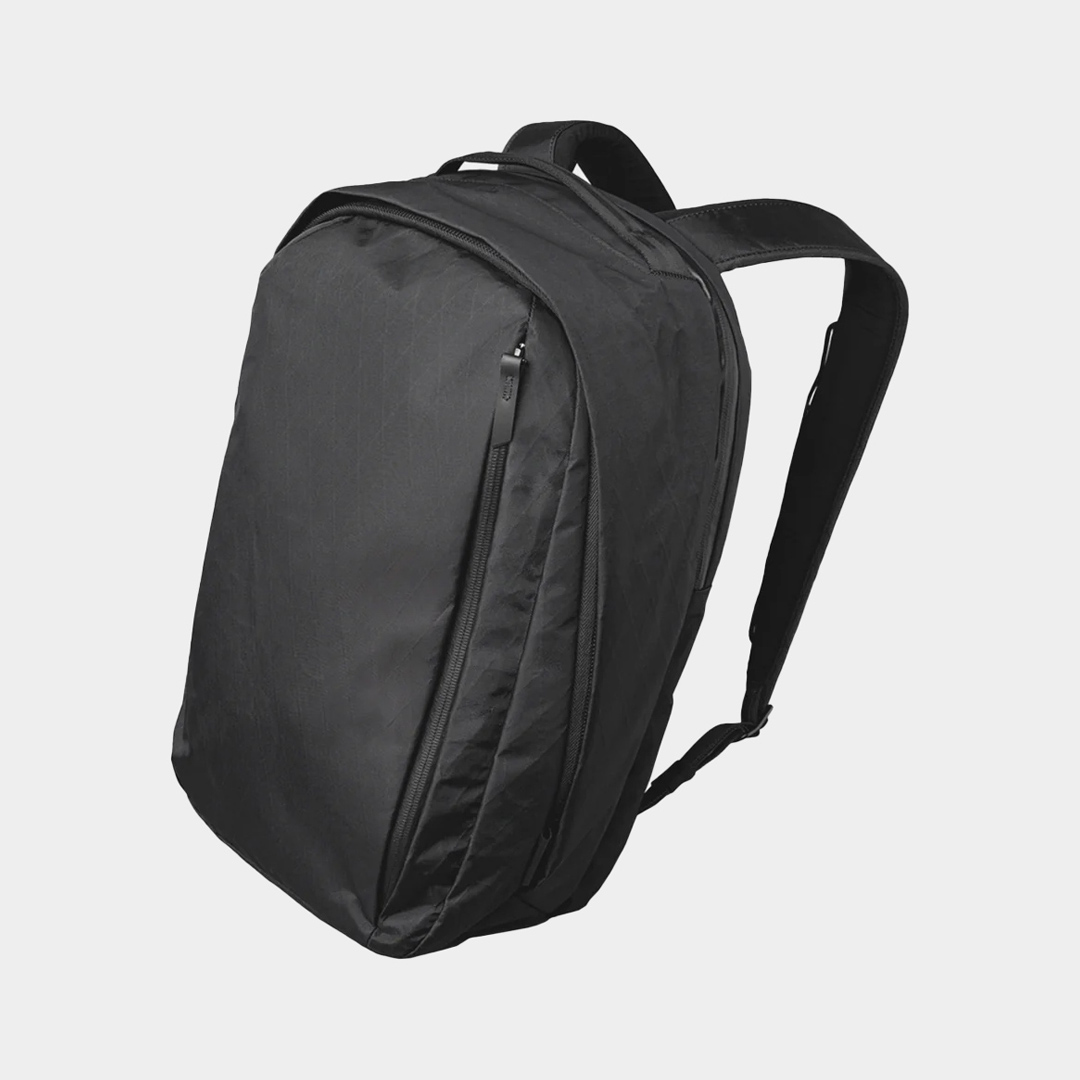 Minimalist Professional Backpack 2