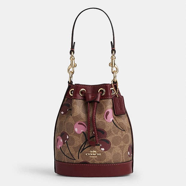 The Mini Bucket Bag 6