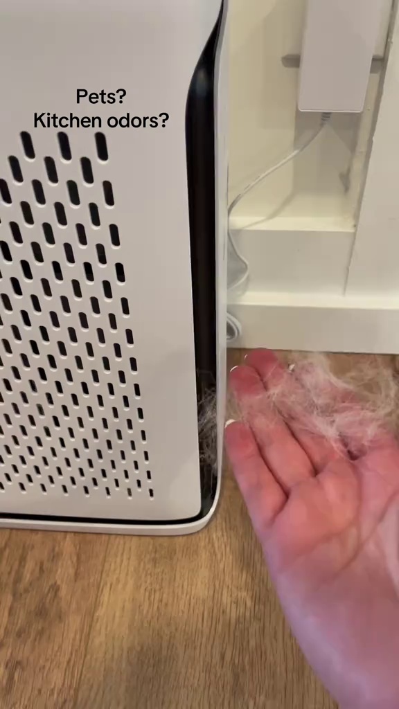 TikTok post by @daniellencarey