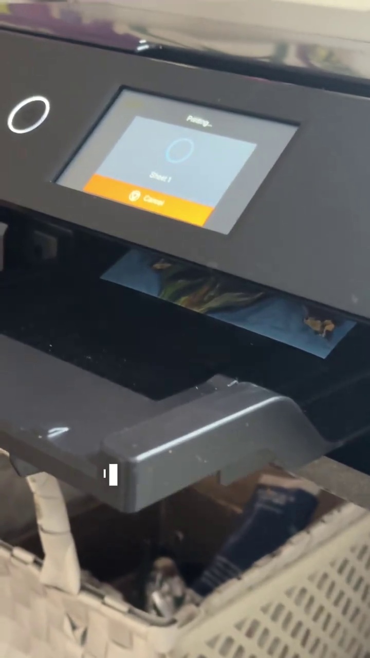 TikTok post by @maurapaintsfood